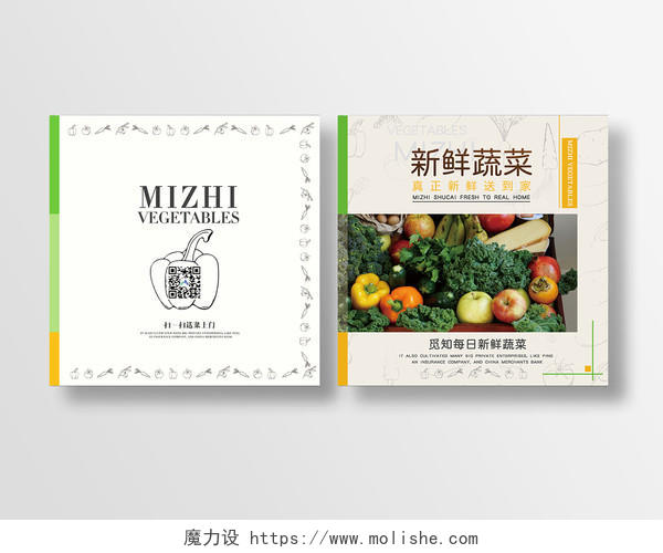 简约新鲜蔬菜农业农产品公司产品画册宣传册封面